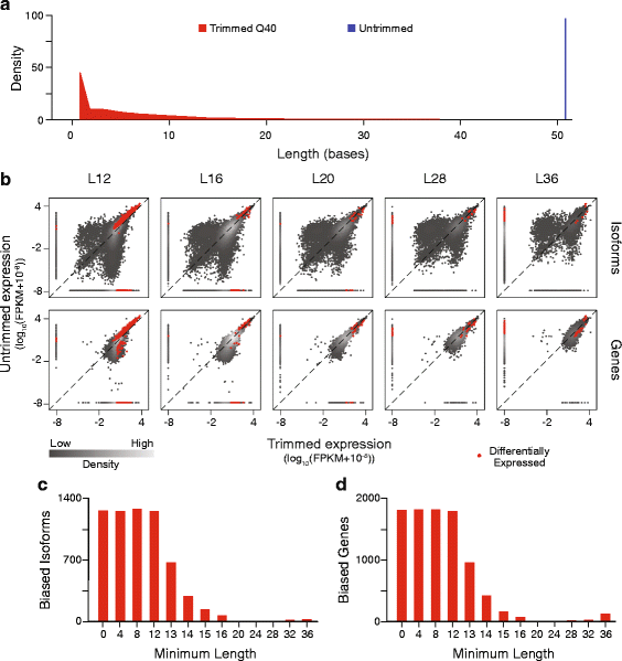 Isoform and gene expression levels after length-filtering.
